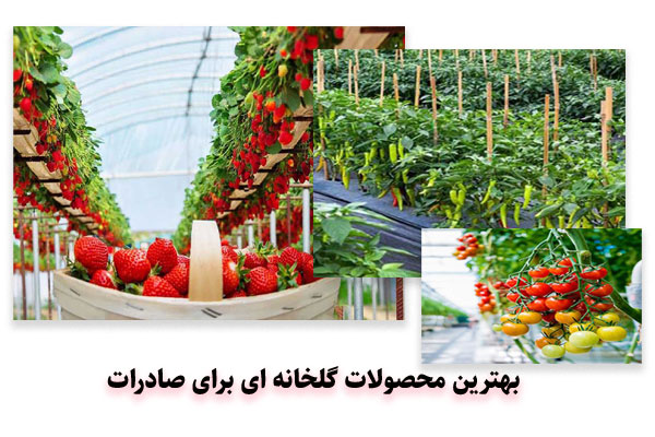 بهترین محصولات گلخانه ای برای صادرات