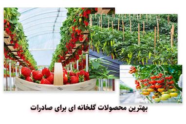 بهترین محصولات گلخانه ای برای صادرات