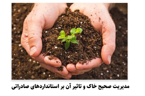 مدیریت صحیح خاک و تاثیر آن بر استانداردهای صادراتی