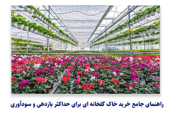 راهنمای جامع خرید خاک گلخانه ‌ای برای حداکثر بازدهی و سودآوری