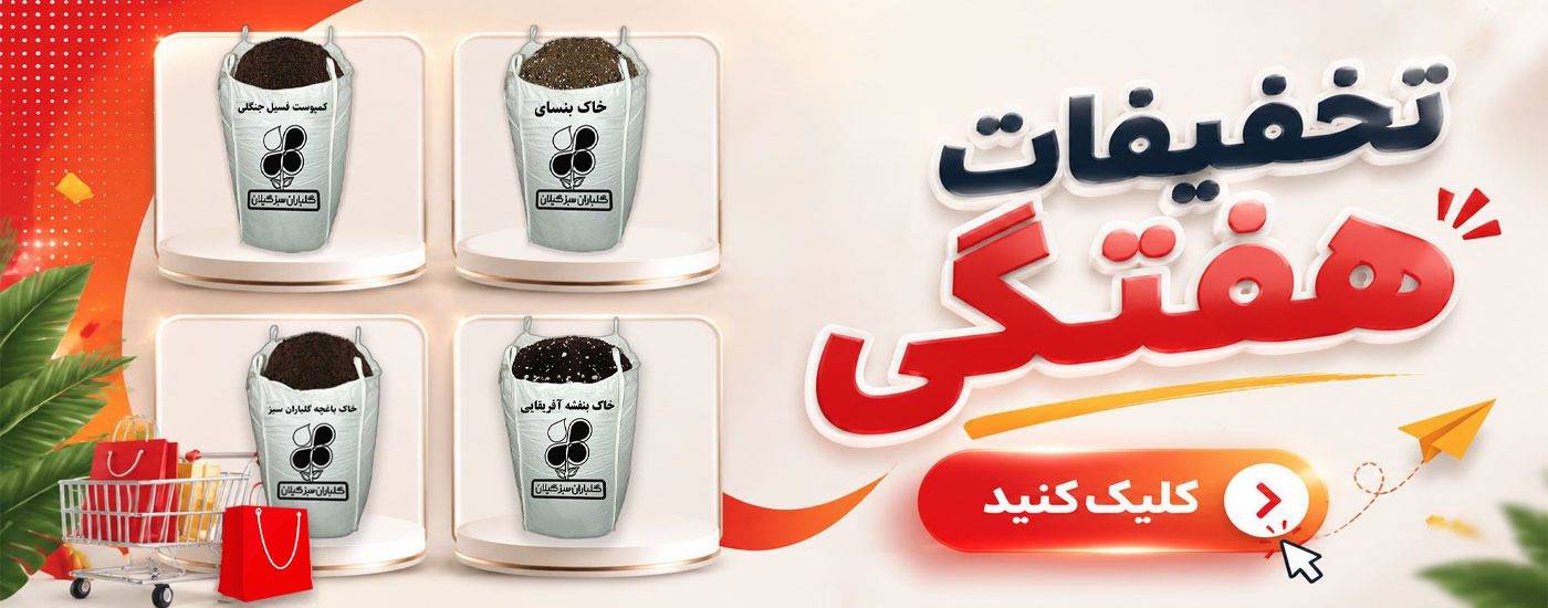 slide-image-undefined