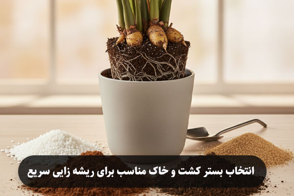 انتخاب بستر کشت و خاک مناسب برای ریشه زایی سریع