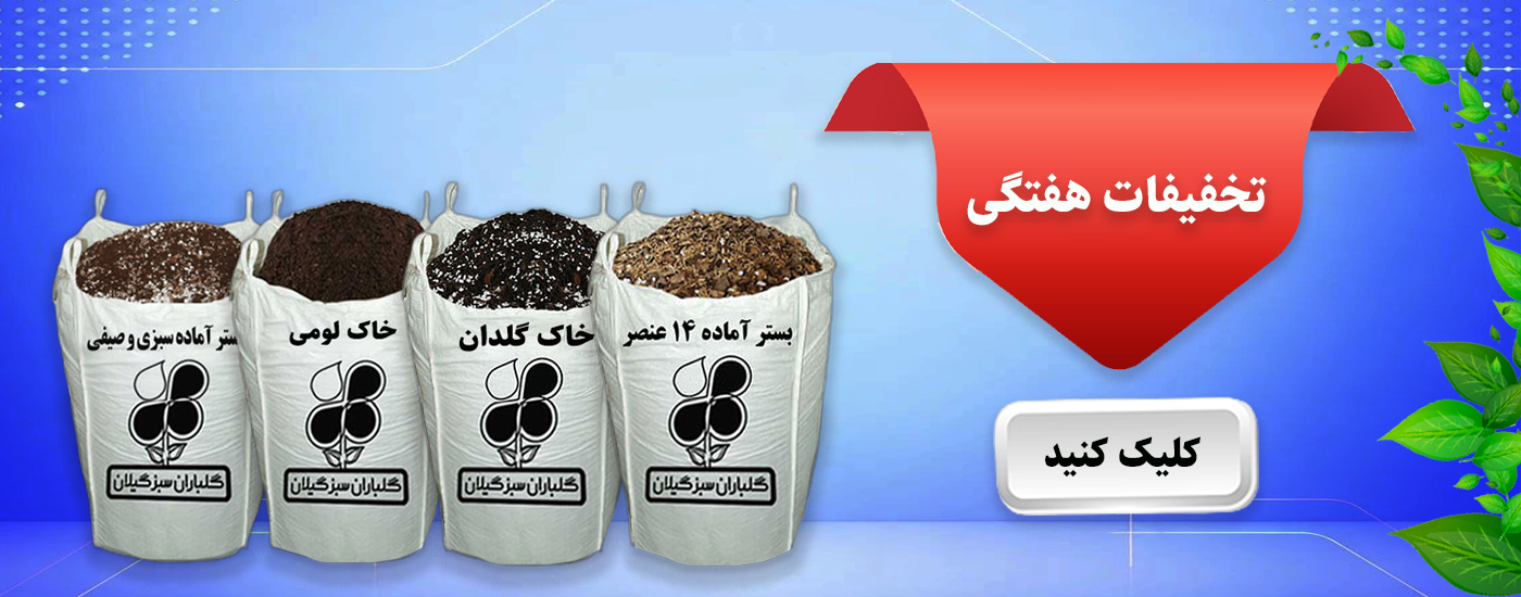 slide-image-undefined