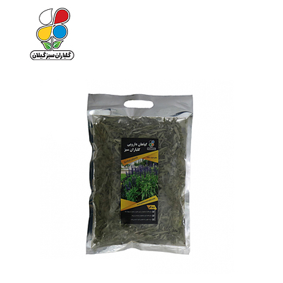 گیاه دارویی مریم گلی(Salvia officinalis) مدل GPH6 