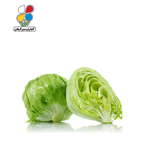 بذر کاهو پیچ بسته بندی بزرگ