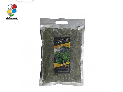 ( بسته 12 عددی ) گیاه مریم گلی(Salvia officinalis) 