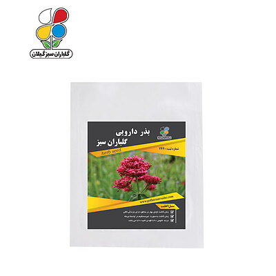( بسته 24 عددی ) بذر سنبل الطیب 