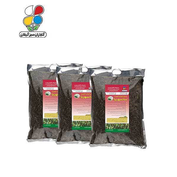 بستر آماده کشت سانسوریا 2 کیلوگرمی بسته 3 عددی